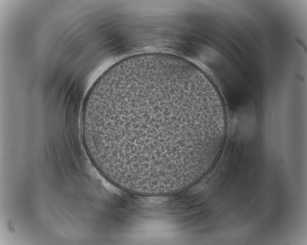 X0000103151294200809121808