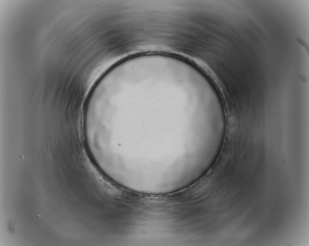 X0000103151295200809121808