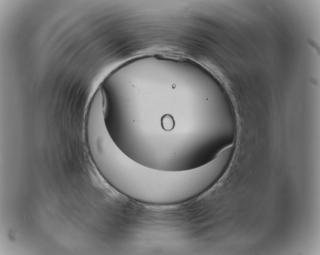 X0000103151296200809121808