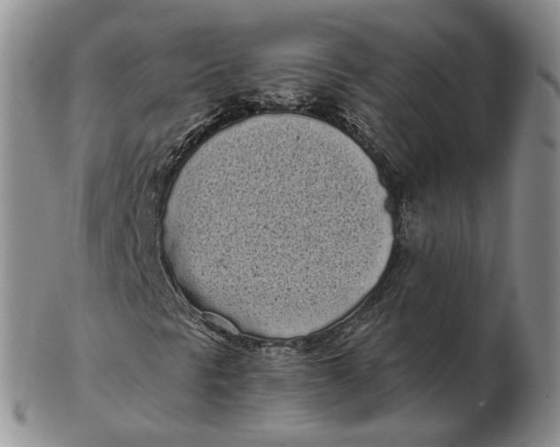 X0000103151297200809121807