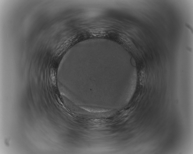 X0000103151298200809121807