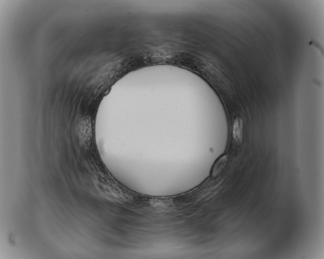 X0000103151299200809121807