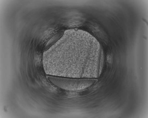 X0000103151300200809121807