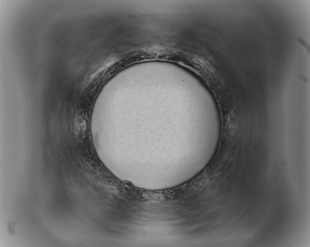 X0000103151302200809121807