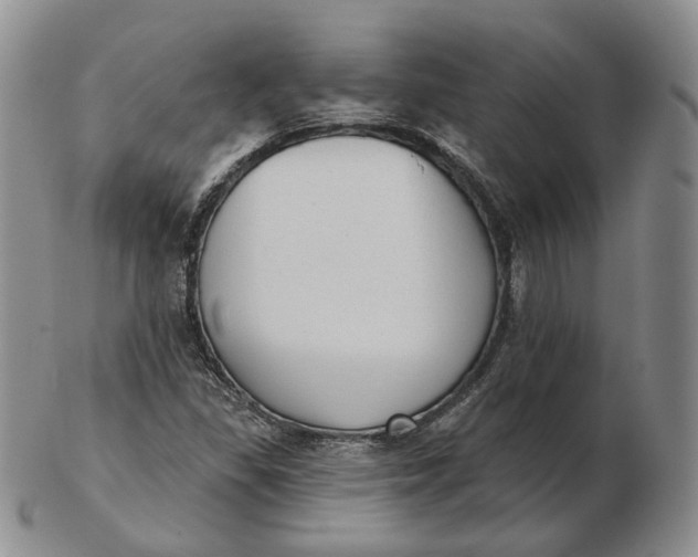 X0000103151309200809121807