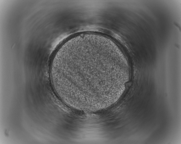 X0000103151312200809121807