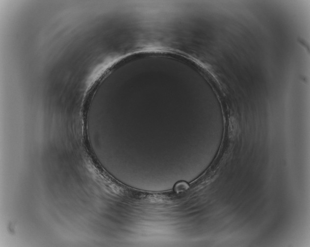 X0000103151319200809121807