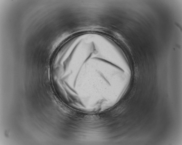 X0000103151320200809121807