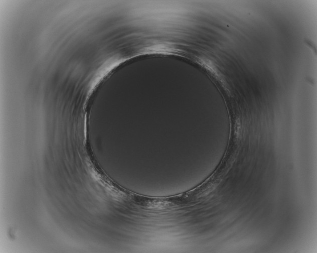 X0000103151323200809121807