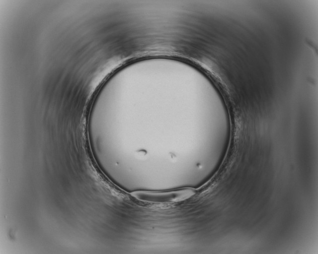 X0000103151325200809121807