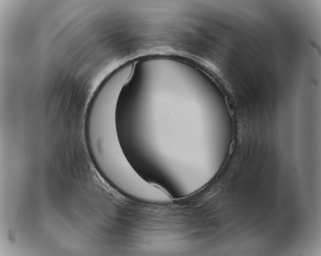 X0000103151326200809121807