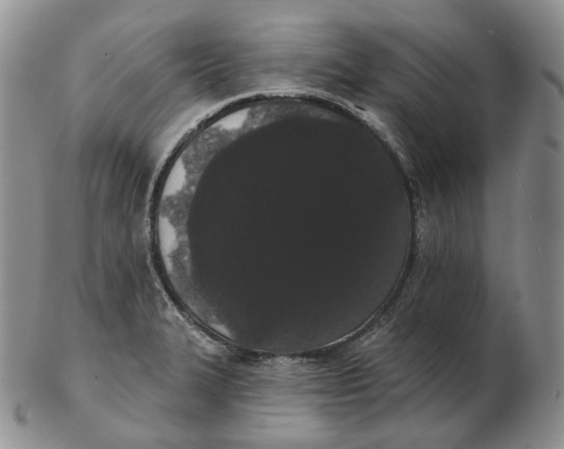 X0000103151327200809121807