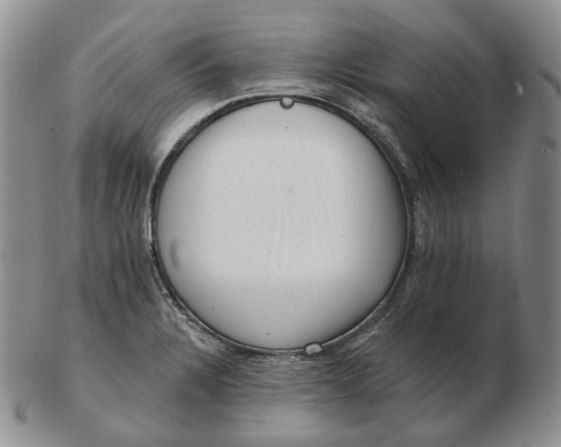 X0000103151328200809121807