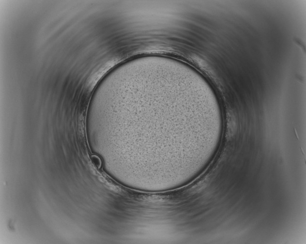 X0000103151329200809121807