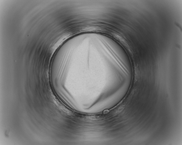 X0000103151330200809121808