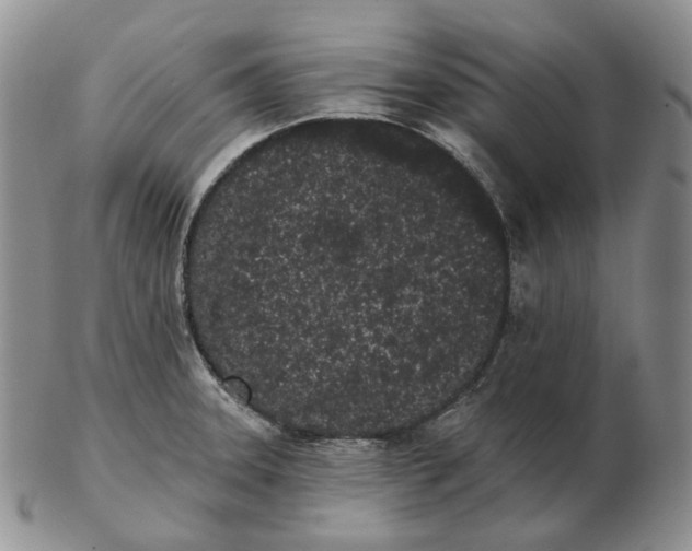 X0000103151331200809121808