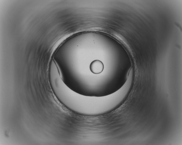 X0000103151332200809121808