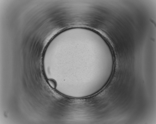 X0000103151333200809121808