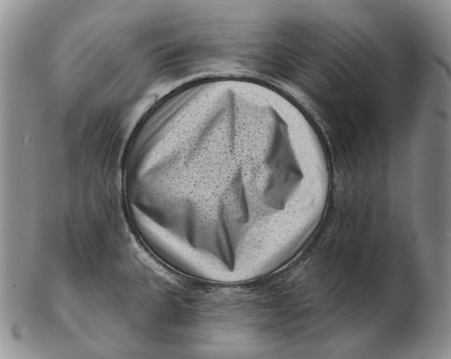 X0000103151335200809121808