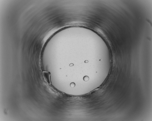 X0000103151336200809121808