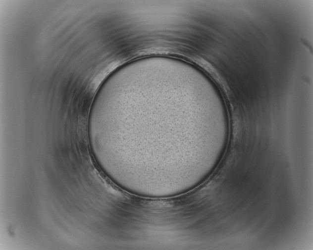 X0000103151337200809121808