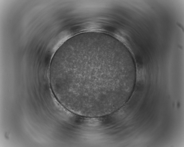 X0000103151338200809121808