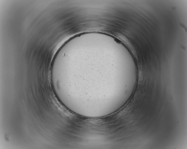 X0000103151340200809121808