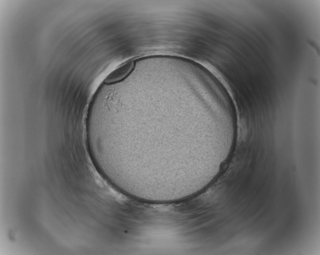 X0000103151341200809121808