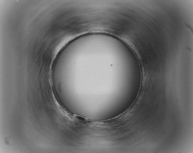 X0000103151342200809121808