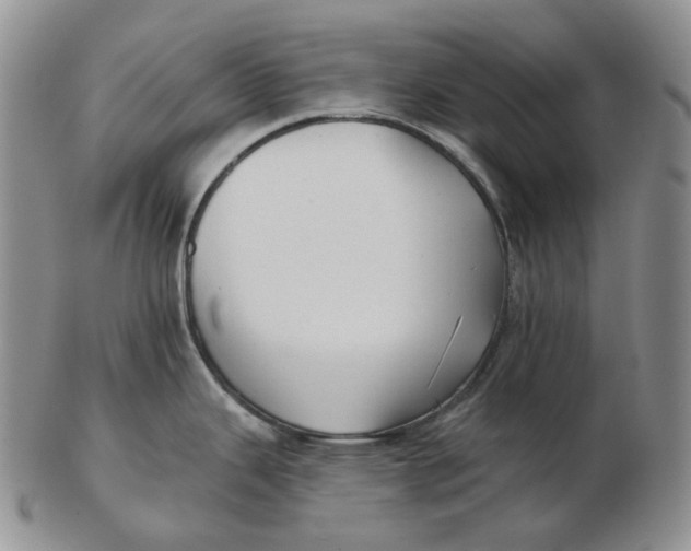 X0000103151343200809121808