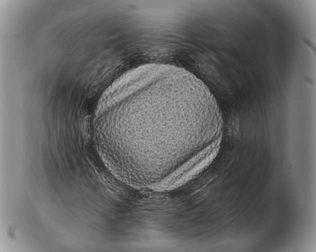 X0000103151346200809121807