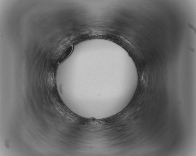 X0000103151348200809121807