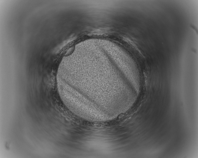 X0000103151350200809121807