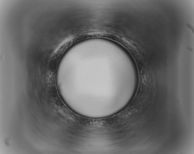 X0000103151351200809121807