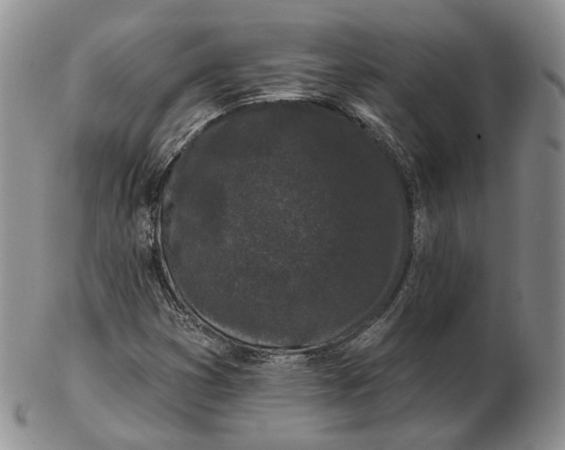 X0000103151353200809121807