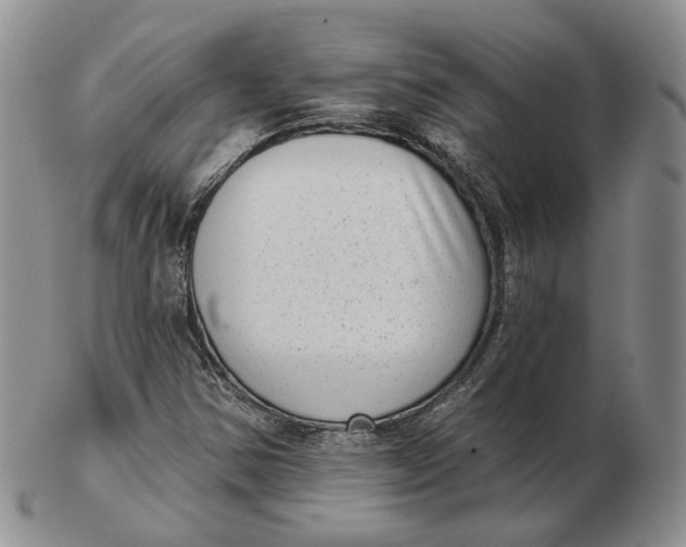 X0000103151354200809121807