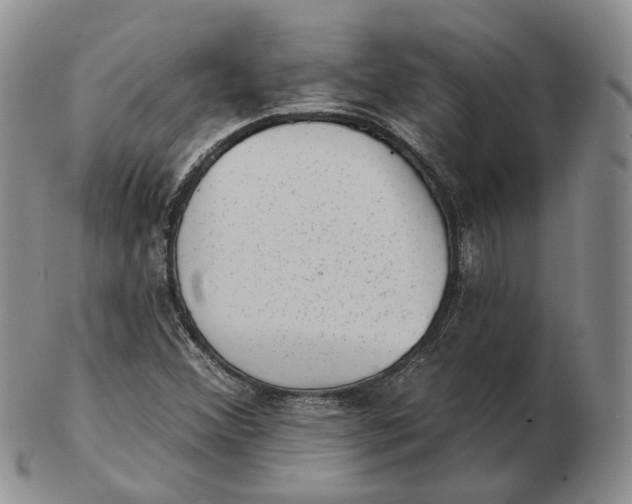 X0000103151356200809121807