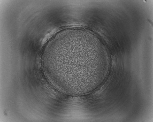 X0000103151357200809121807