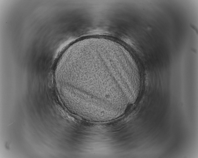 X0000103151358200809121807