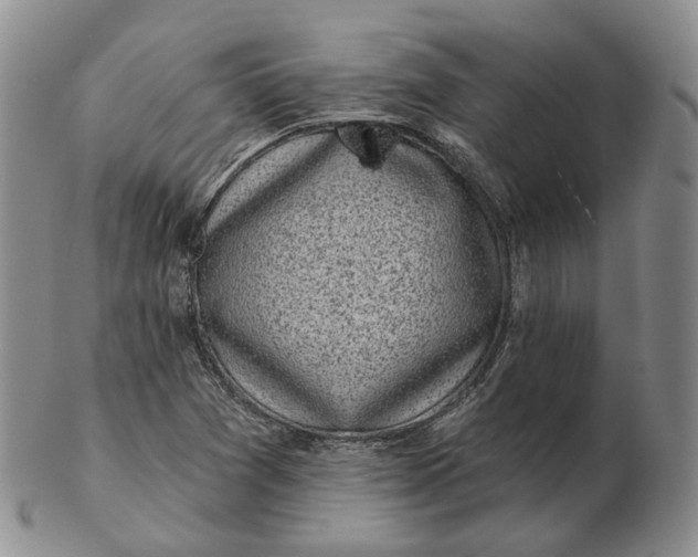 X0000103151361200809121807