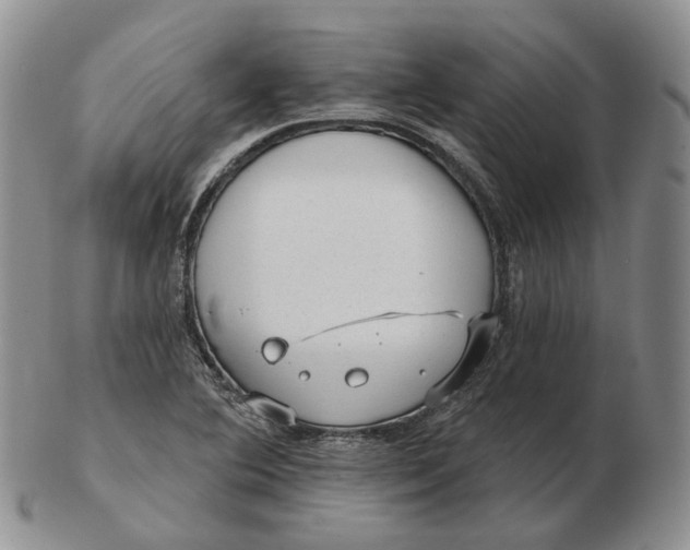 X0000103151364200809121807