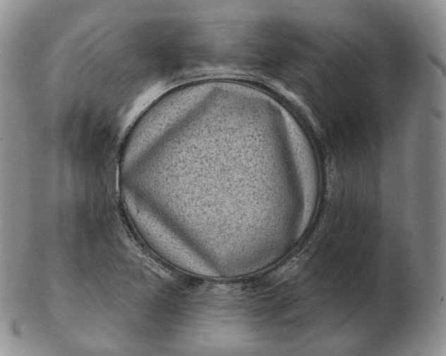 X0000103151365200809121807