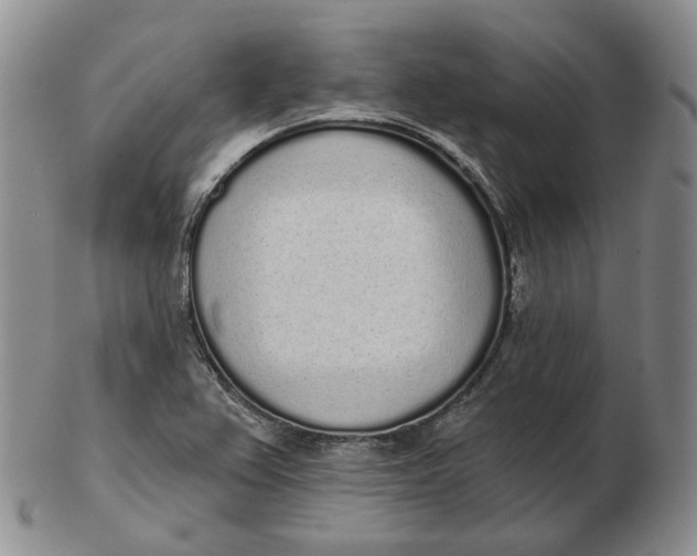 X0000103151367200809121807