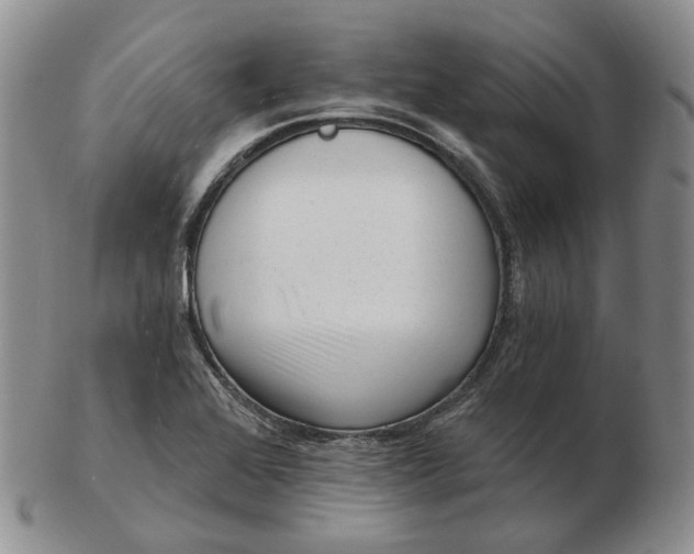 X0000103151368200809121807