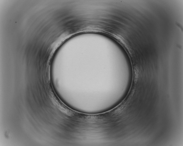 X0000103151371200809121807