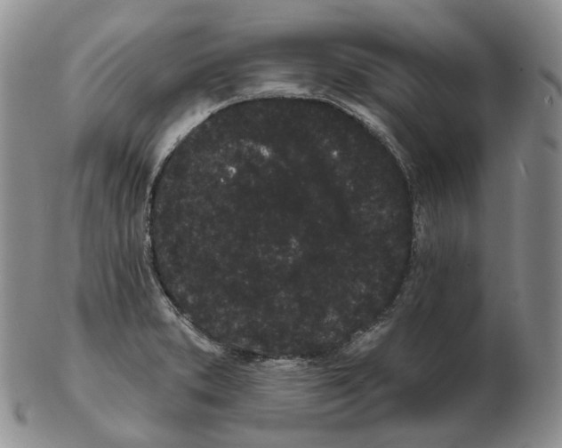 X0000103151373200809121807