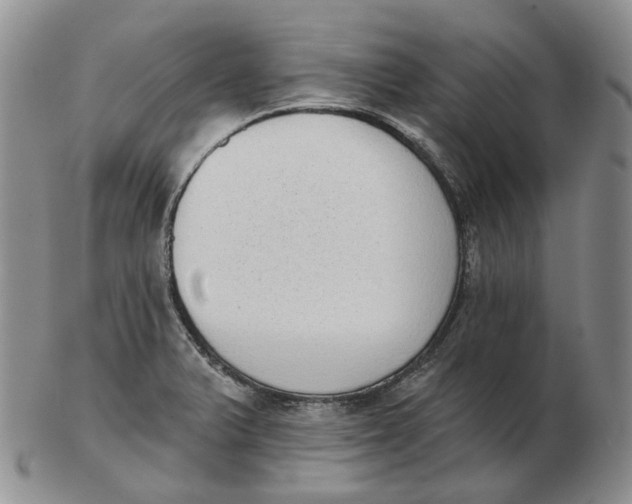 X0000103151375200809121807