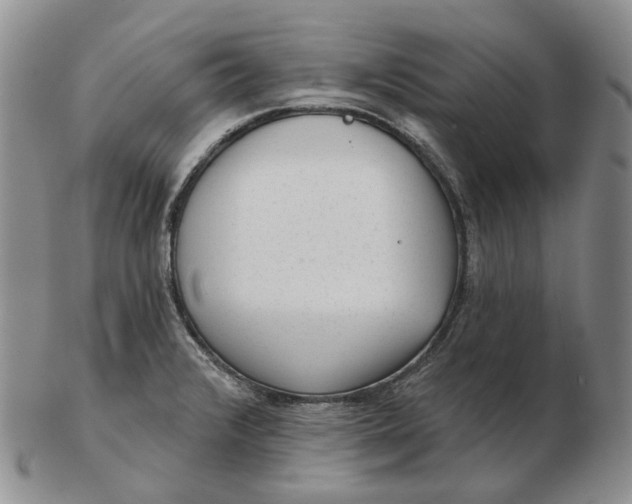 X0000103151376200809121807