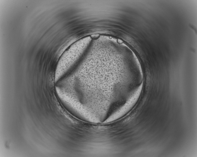 X0000103151377200809121807