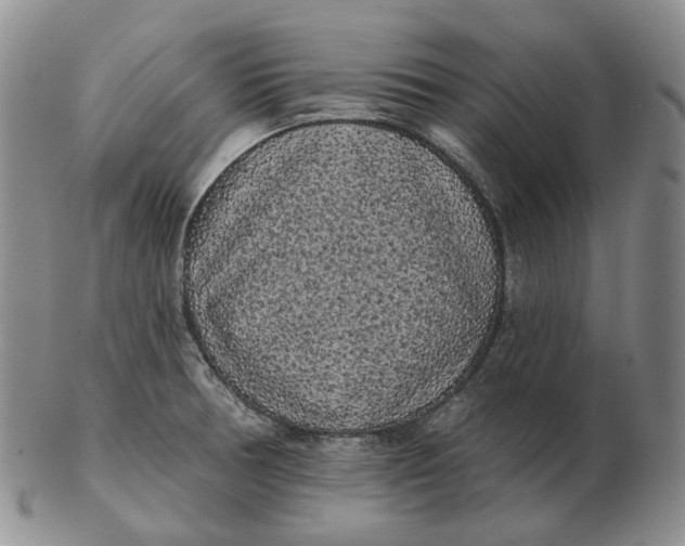 X0000103151378200809121806